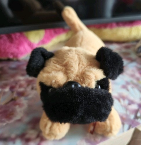 Neu süßer kleiner - mopsy, mops