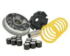 Variator MALOSSI Multivar