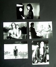 VENUSFALLE * Sonja Kirchberger