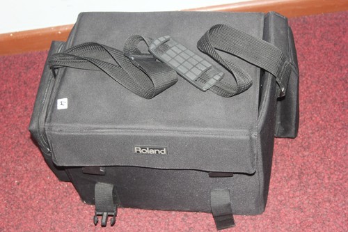 Roland acoustic chorus - roland,