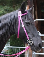 Tolle EINOHRTRENSE mit Strass