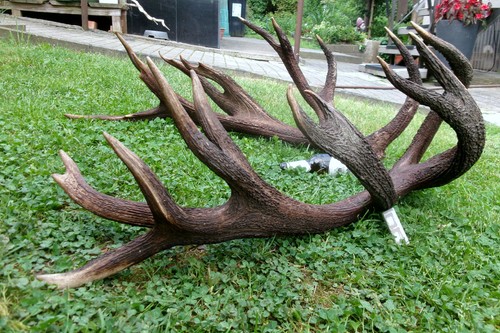 Super paar abwurfstangen - paar, 8,3kg