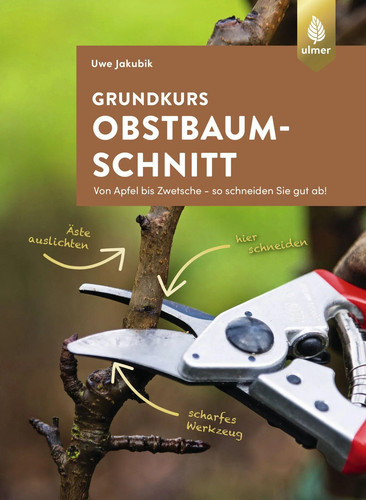 Grundkurs obstbaumschnitt - grundkurs,