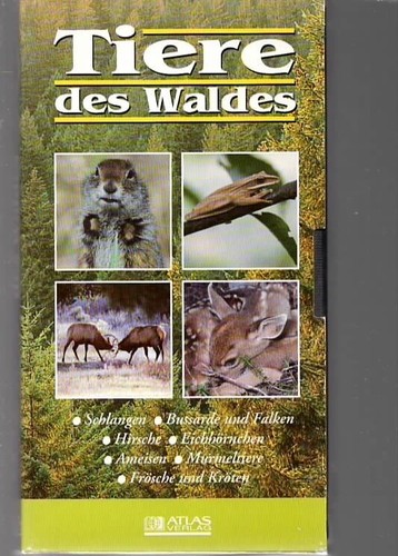Tiere des waldes atlas verlag - tiere,