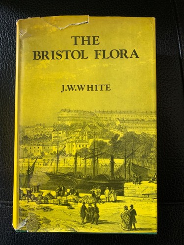 The bristol flora white - j,