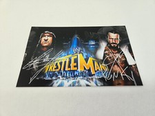 THE UNDERTAKER / CM PUNK  WWE