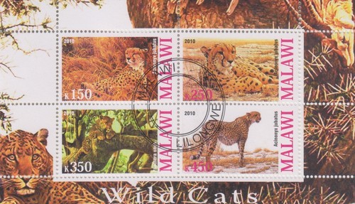 Wildkatzen malawi gestempelt - wildkatzen,