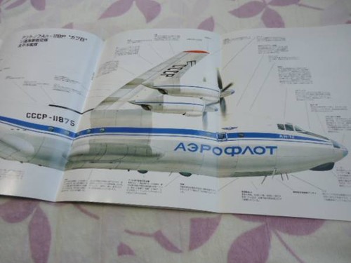 Antonov cargo aircraft - cargo,