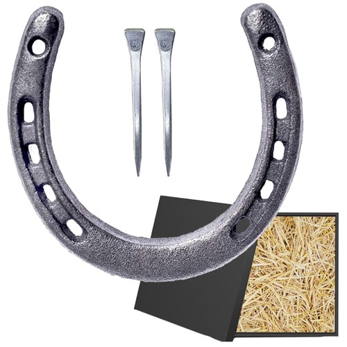 Hufeisen geschenk deko - geschenk,