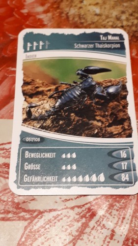 Ozeanien schätze unseres - ozeanien, 7