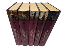 "Casteel Saga" Band 1 - 5