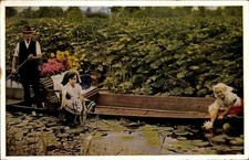 Ak Lübbenau im Spreewald