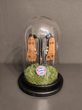 FC Bayern München 1966-1968