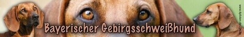 BAYERISCHER