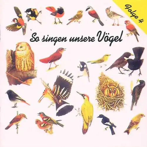 Vogelstimmen so singen - vogelstimmen,