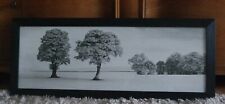 Bäume Landschaft Bild hinter Glas gerahmt 40x100 cm schwarz / weiss