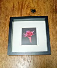 Portraitrahmen Bilderrahmen