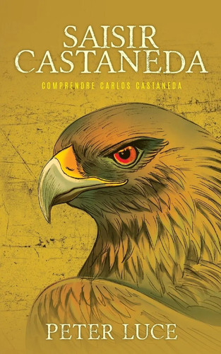 Saisir castaneda comprendre - saisir,