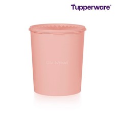 Tupperware Vintage Behälter