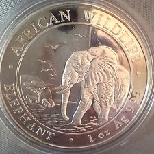 2010 - SOMALIA ELEPHANT  - 1