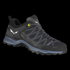 Schuhe Approach salewa Ms Mtn