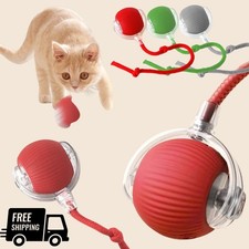 Automatic Rolling Ball Smart