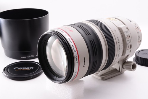 Canon 100 400mm - f/4.5-5.6, l