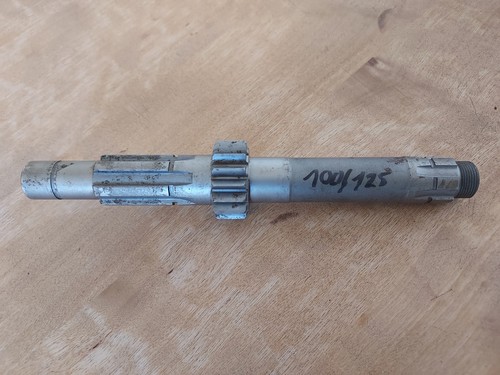 Ducati bevel single köwe - single, 100