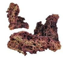 Jurassic reef rock - jurassic, ca.