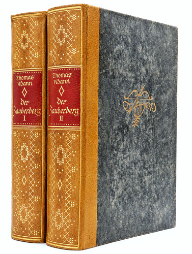 Thomas mann der zauberberg - mann,