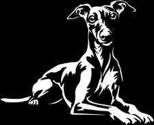 WHIPPET Aufkleber - Whippet