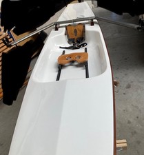 Virus Yole 18-gepflegtes