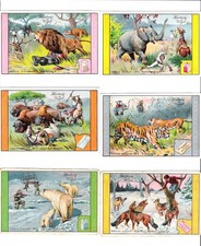 Hartwig & Vogel - Kaufmannsbilder - Serie 118 - Kampf mit wilden Tieren - kompl