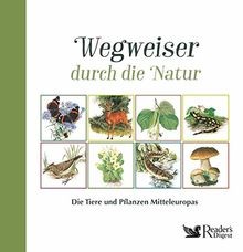 Wegweiser durch die natur - wegweiser,