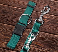 2 teiliges Set Hundehalsband +