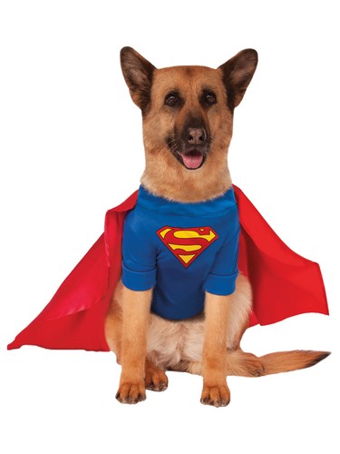 Superman hund kostüm - superman,
