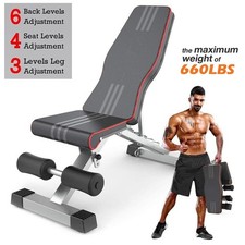 Hantelbank Trainingsbank