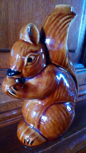 Flasche eichhörnchen - eichhÖrnchen,