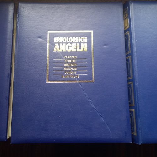 Vier erfolgreich angeln - vier,
