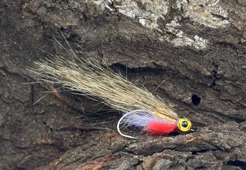 Seatrout sticklebait - seatrout,
