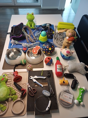Hundezubehör set näpfe - hundezubehör-set:,