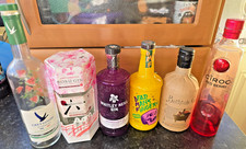 6 leere Wodka Gin Alkohol