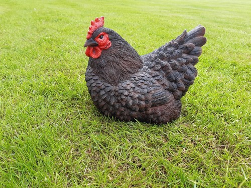 Gartenfigur huhn liegend - huhn,