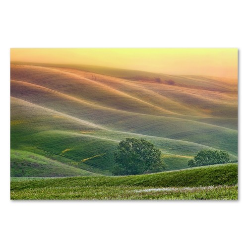 Postereck 1237 poster - postereck,