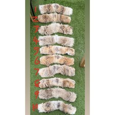 Canada Goose Fellbesatz *NEUE