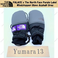 PALACE x The North Face Purple