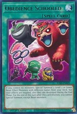 YuGiOh Obedience Schooled JUSH-EN029 Rare Englisch Neu 1st