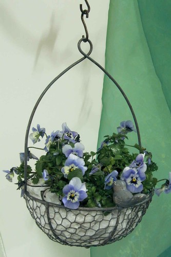 Blumenkorb zum hängen - blumenkorb,