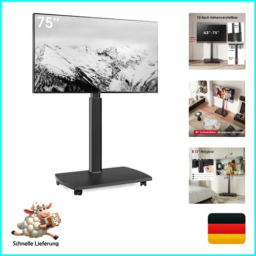 Rollbarer ständer mit - tv,