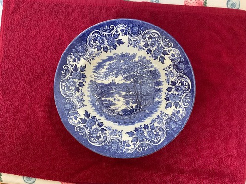 Speiseteller motiv - 1,